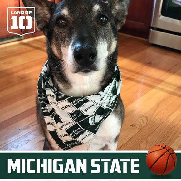 Meet your Posher, Allison - Picture 1 of 1